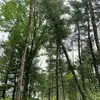 Catherine Shookman - @catherine.shookma - TikTok