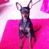 Catherine Signor - @catherine.signor - TikTok