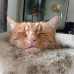 Catherine Simmonds - @catherine.simmonds70 - Instagram