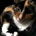 Catherine Simmonds - @horselover4life21 - Instagram