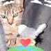 Catherine Simonet - Facebook