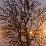 Catherine Singh - @endless_captures - Instagram
