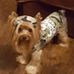 Cathy Smeltzer - Facebook