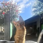 Catherine Soliman Reonico - @catherinereonico - Instagram
