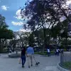 Catherine Soto - @catherine.soto1 - TikTok