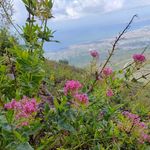 Catherine Specht - @cath_sp67 - Instagram