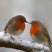 Catherine Stack - Facebook