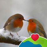 Catherine Stack - @catherine.stack.908 - Instagram