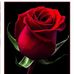 Catherine Stahl - Facebook