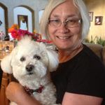 Catherine Strange - @catherine.strange.75 - Instagram