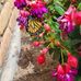 Cathy Stringfellow - Facebook