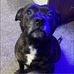 Catherine Stubbs - Facebook