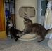 Cathy Lecoq Tedesco - Facebook