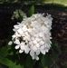 Catherine Temple - Facebook