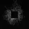 Catherine Thibaud805 - @catherinezeliathibaudeau - TikTok