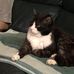 Catherine Dupuit - Facebook