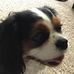 Catherine Tibbett - Facebook