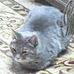 Katherine Tipton - Facebook