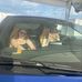 Katherine Tipton - Facebook