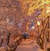 Katherine Tipton - Facebook