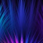 Catherine Titcomb - Facebook