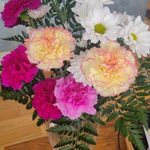 Catherine Plante Tuttle - @plantetuttle - Instagram