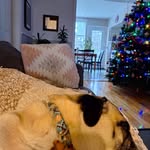 Catherine Vallée - @catherine.vallee.7524 - Instagram