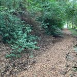 Catherine Brown Vogt - @catbrr - Instagram