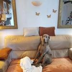 catherinevogt - @cathlandvogt - Instagram
