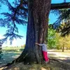 Catherine Welsh - @catherine.welsh0 - TikTok