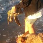Catherine Hartwell - @catherine_west_hartwell - Instagram
