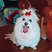 Catherine Weston - Facebook