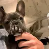 catherineweston - @catherinewestondarl - TikTok