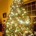 Catherine Whaley - Facebook