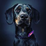 Catherine Whatley - @cat23.17 - Instagram
