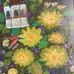 Catherine Whitley - Facebook