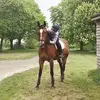 Catherine Wheeler - @catwheeler5 - TikTok