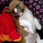 Catherine Wheeler - @catherine.wheeler.7 - Instagram