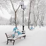 Catherine Whitney - @catherine.whitney.50 - Instagram