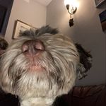 Catherine Wilkinson - @catherinewilkinson72 - Instagram