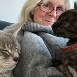 Catherine Wilkinson - @catherinewilkinson450 - Instagram