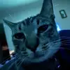 Catherine Williams - @catherine.william40 - TikTok