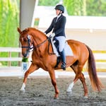 Catherine Winter - @theendoequestrian - Instagram