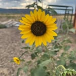 Catherine Winter - @catherinewinter4207 - Instagram