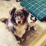 Catherine Winter - @catherinewinter4797 - Instagram