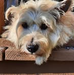 Catherine Winters - Facebook