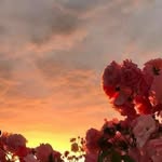 Catherine - @catherine_e.d_wray - Instagram