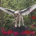 Catherine Wray - Facebook