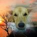 Katherine Wray - Facebook