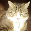 catherinewyble807 - @catherinewyble807 - TikTok